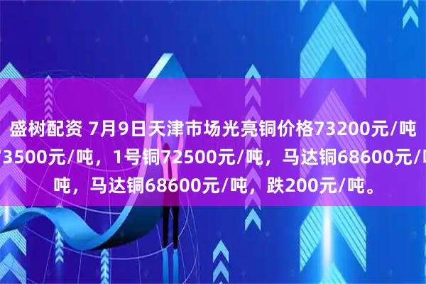 盛树配资 7月9日天津市场光亮铜价格73200元/吨，低压缆粗价格73500元/吨，1号铜72500元/吨，马达铜68600元/吨，跌200元/吨。